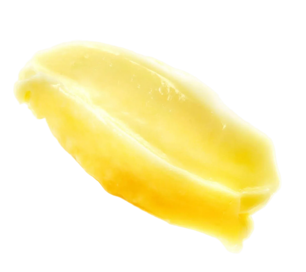 Candelilla Wax